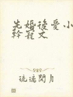 先婚后爱小说高干宠文