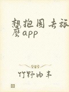 想抱团去旅游什么app