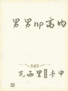 男男np高肉h 男男np高肉h