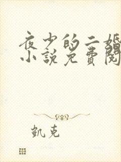 夜少的二婚新妻小说免费阅读全文