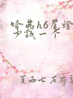 哈弗h6尾灯多少钱一个