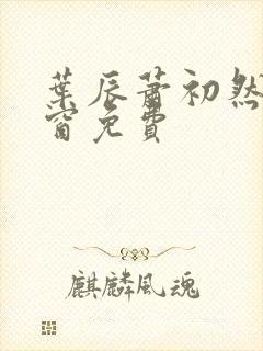 叶辰萧初然无弹窗免费