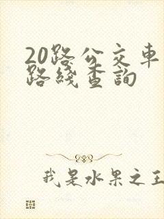 20路公交车站路线查询