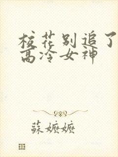 校花别追了了,高冷女神