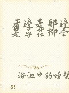 者边走那边走只是寻花柳全诗