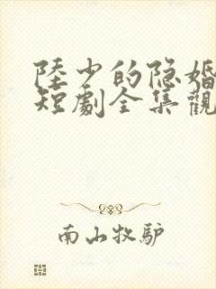 陆少的隐婚罪妻短剧全集观看