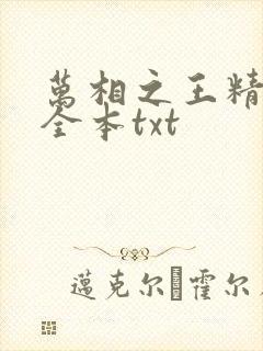 万相之王精校版全本txt