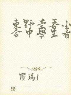 东野圭吾小说适合中学生看吗