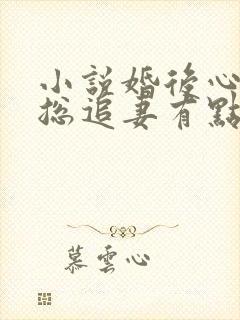 小说婚后心动凌总追妻有点甜全文免费阅读