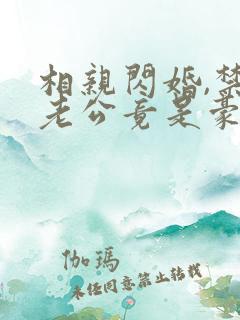相亲闪婚,禁欲老公竟是豪门继承人