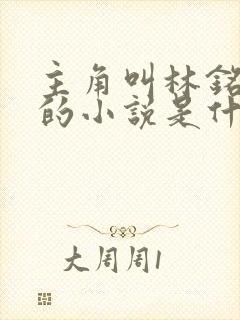 主角叫林铭李雪的小说是什么