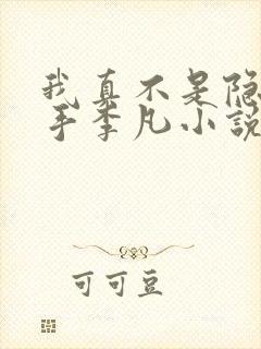 我真不是隐世高手李凡小说