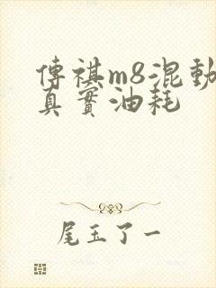 传祺m8混动版真实油耗