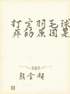 打完羽毛球屁股疼的原因是什么