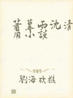萧暮雨沈清秋主角小说
