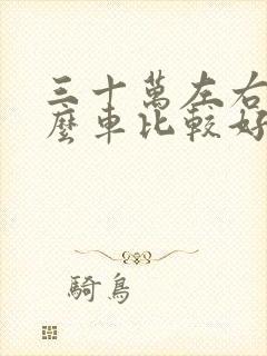 三十万左右买什么车比较好suv