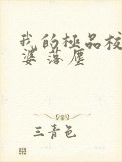 我的极品校花老婆 落尘