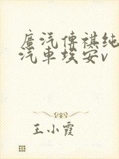 广汽传祺纯电动汽车埃安v