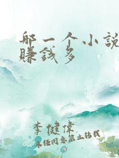 哪一个小说软件赚钱多