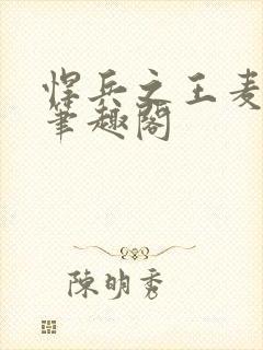 悍兵之王麦小飞笔趣阁