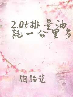 2.0t排量油耗一公里多少钱