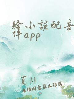 给小说配音的软件app