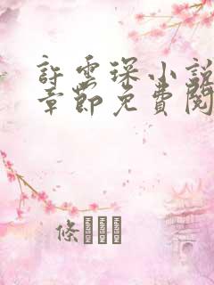 许云琛小说最新章节免费阅读