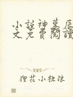 小说神墓辰东全文免费阅读
