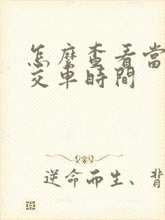 怎么查看当地公交车时间