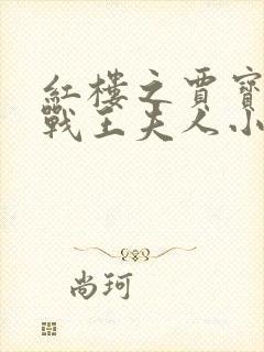 红楼之贾宝玉大战王夫人小说