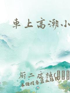 车上高潮小说