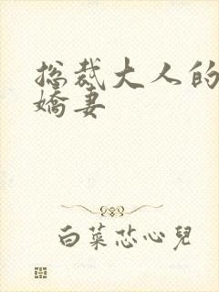 总裁大人的暖婚娇妻