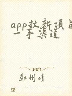 app拉新项目一手渠道