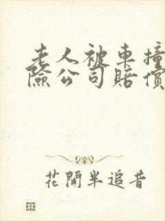 老人被车撞了保险公司赔偿标准