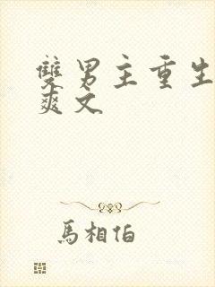 双男主重生复仇爽文