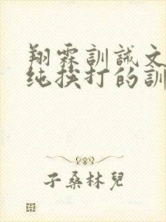 翔霖训诫文小说纯挨打的训诫文