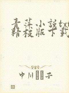 青萍小说txt精校版下载