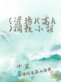 (灌肠)(高h)调教小说
