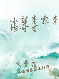 小说李霖李澜官场奇才