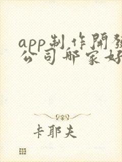 app制作开发公司哪家好