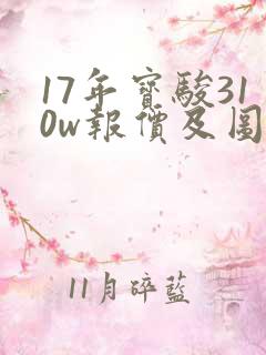 17年宝骏310w报价及图片