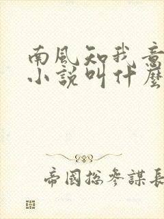 南风知我意原著小说叫什么