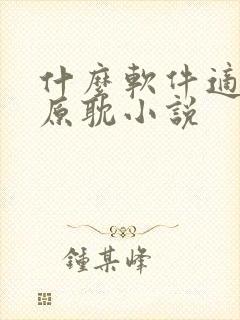 什么软件适合看原耽小说