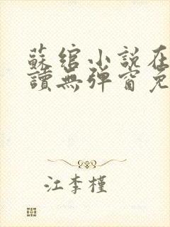 苏绾小说在线阅读无弹窗免费