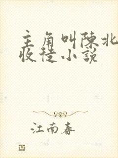 主角叫陈北玄的收徒小说