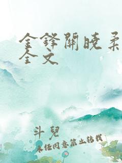 金锋关晓柔小说全文