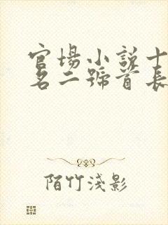 官场小说十大排名二号首长