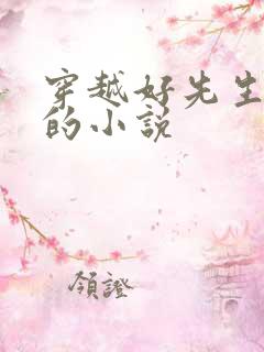 穿越好先生世界的小说