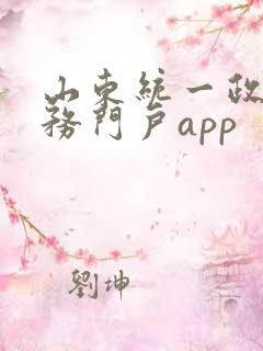 山东统一政务服务门户app 山东统一政务服务门户app