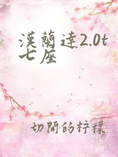 汉兰达2.0t七座